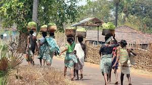Trifed  to launch Tech for Tribals in Chhattisgarh