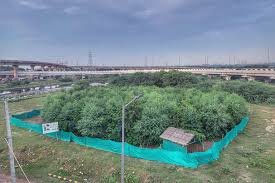 Urban forest spread across 36.225 hectares in Varanasi will help in environmental protection