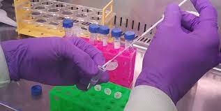 CSIR’s dry swab RT-PCR test gets ICMR approval, faster result than RT-PCR
