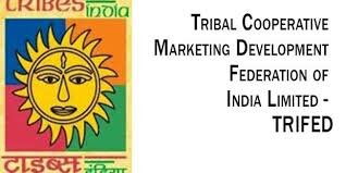 TRIFED digitisation to promote Tribal Commerce