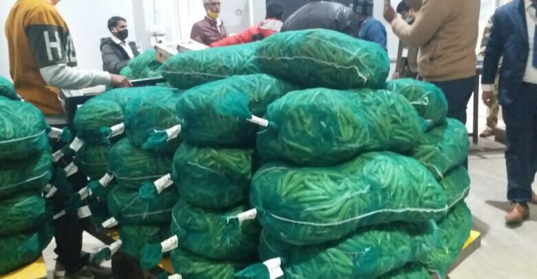 Green vegetables exported to Sharjah
