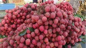 First consignment of GI certified Shahi Litchi from Bihar exported to the UK