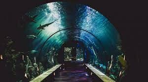 Indian Railways gets its first movable freshwater tunnel aquarium